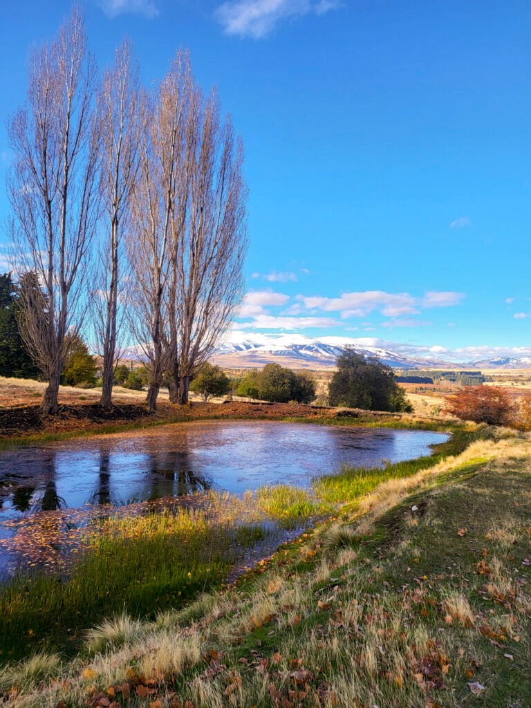Chacra 5 has Ruta 71 – Trevelin