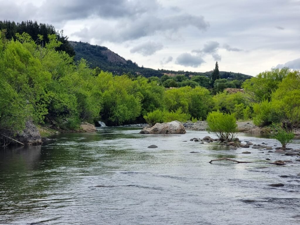 Chacra 58 has – Alto Rio Percey
